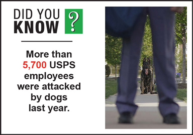 More than 5,700 USPS employees were attacked by dogs last year.