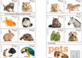 Stamp preview - Pets