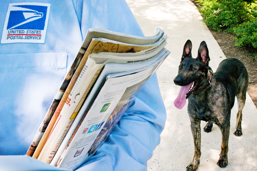A letter carrier with a bundle of mail being followed by a dog.