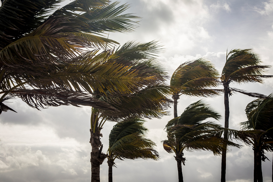 Hurricanes can cause high winds, heavy rains and other dangerous conditions.