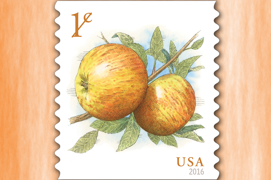 The Apples stamp