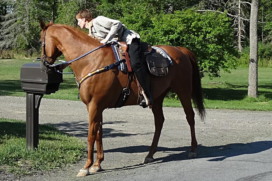 Horseheads Rural Carrier Amy Colussy delivers mail on horseback.