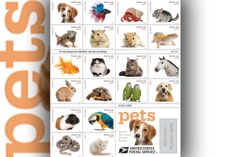 The Pets stamp pane