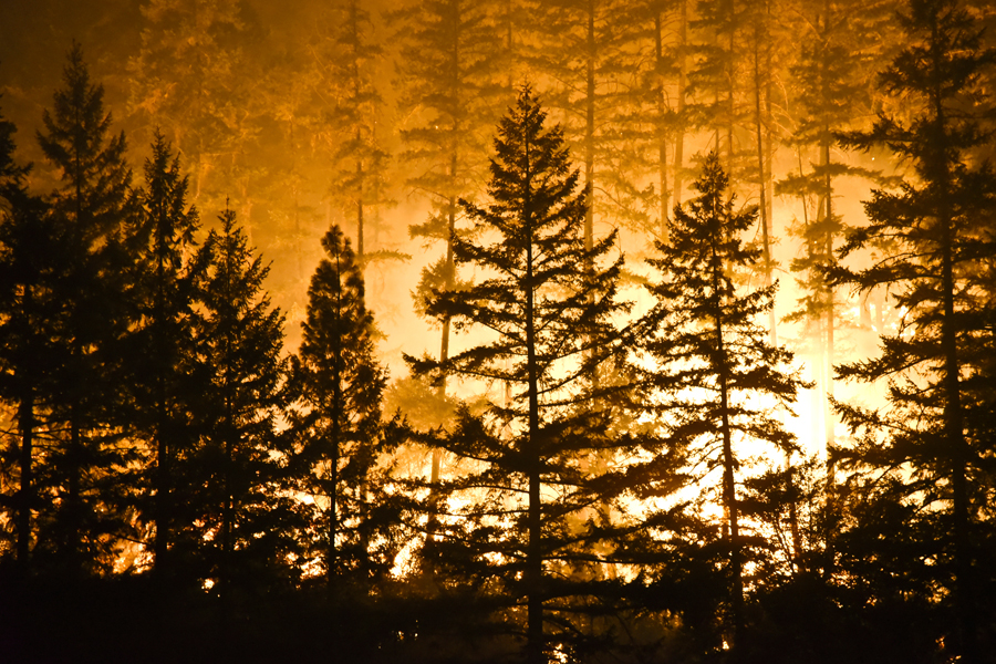 Wildfires are one of nature’s most destructive forces.