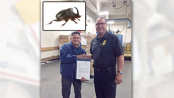 Alberto Perez, a mail handler at the San Francisco International Service Center, receives a letter of commendation from James Jarman, a Customs and Border Patrol agriculture specialist. The inset image shows a rhino beetle.