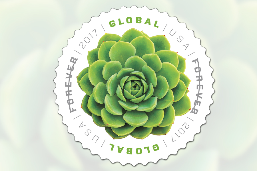 The Green Succulent Global international rate stamp