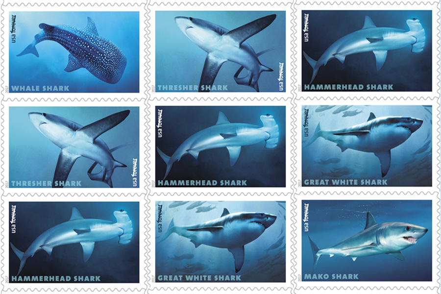 Sharks stamps