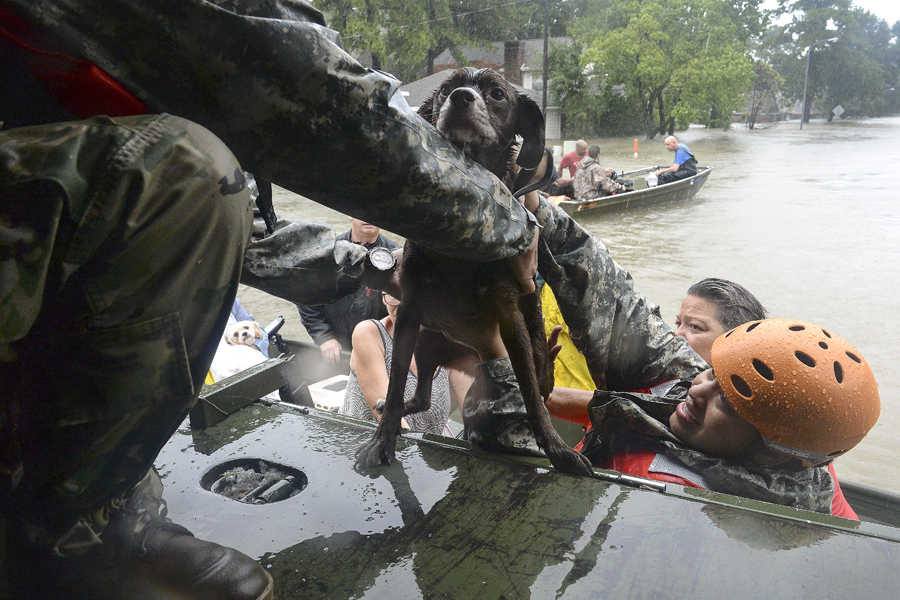 National Guardsmen put dog on rescue boat in floodwater