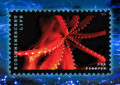 Stamp depicting an octopus