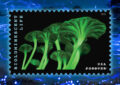 Stamp depicting mushrooms