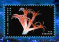 Stamp depicting a sea pen