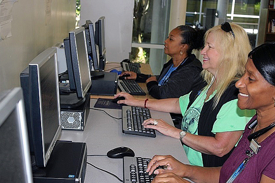 Employees using the computer