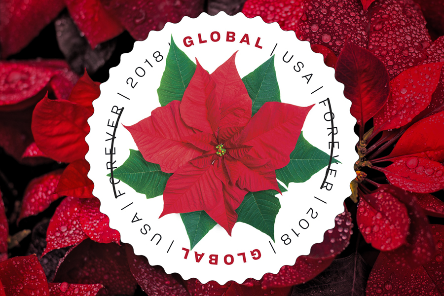 Round stamp that shows poinsettia