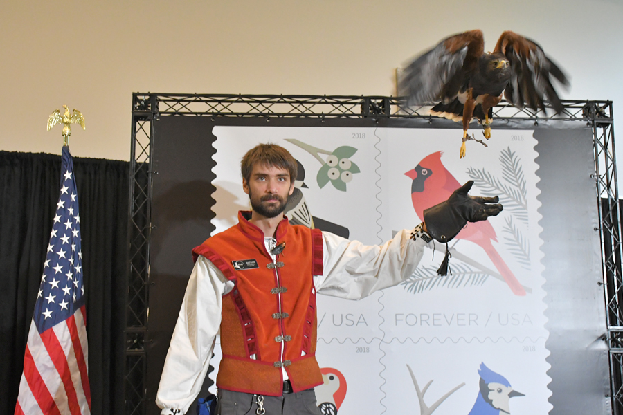 Man holds aloft hawk in front of stamp art display