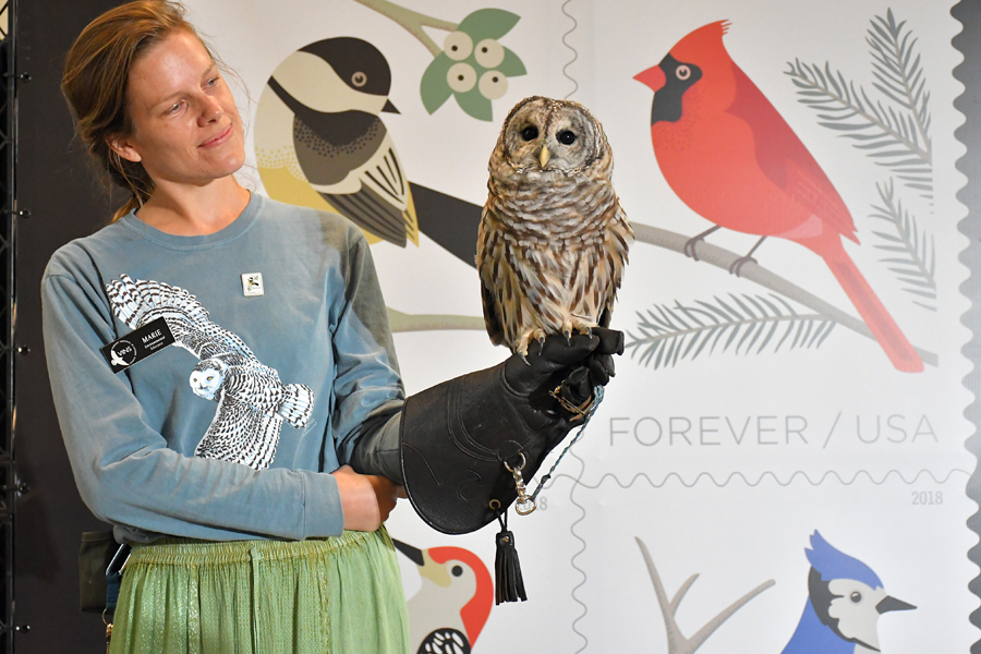 Owl sits on arm of smiling woman near stamp artwork