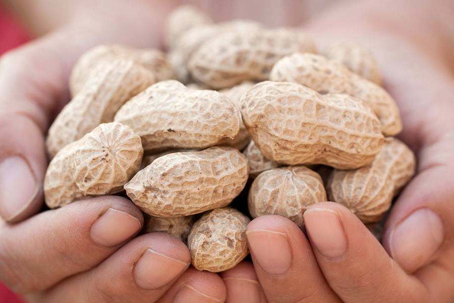 February is National Peanut Month