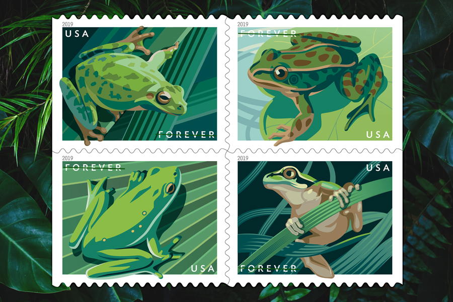 Images of the four Frogs stamps.