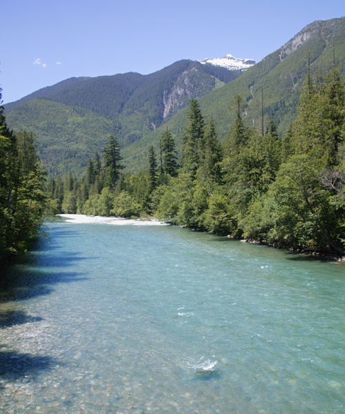 Washington's Skagit River with sounding trees