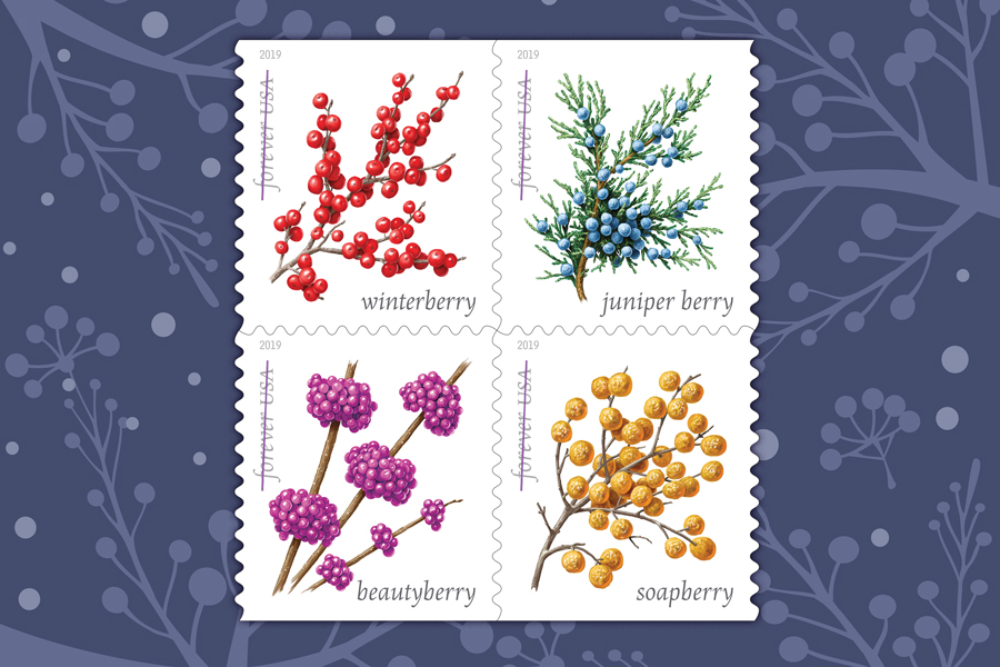 Winter Berries stamp