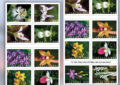 2 sheets of stamps showing orchids