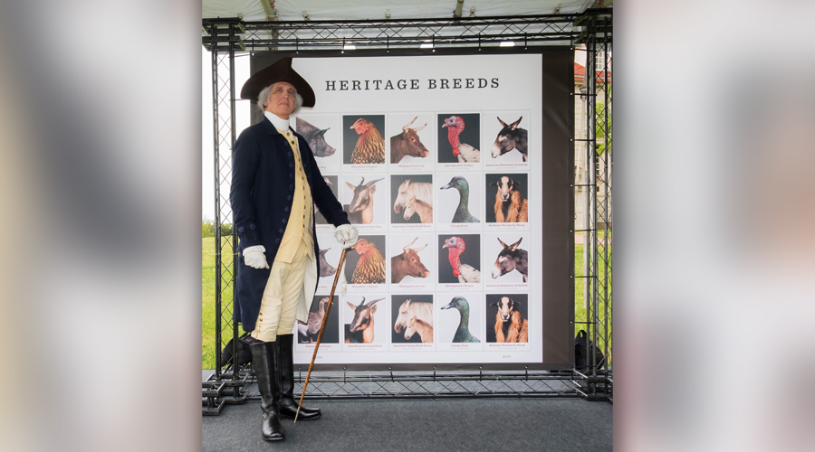 Man dressed as George Washington stands near stamp poster